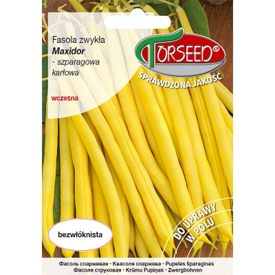 Fasola Maxidor Szparagowa Bezwłóknista Nasiona